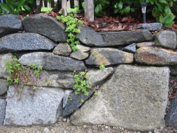 MauerausGranitbruchsteinen